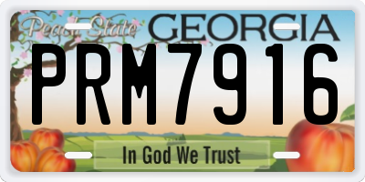 GA license plate PRM7916