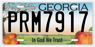 GA license plate PRM7917