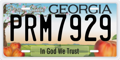 GA license plate PRM7929