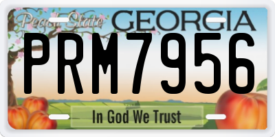 GA license plate PRM7956