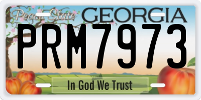 GA license plate PRM7973