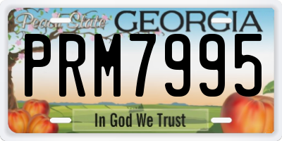 GA license plate PRM7995