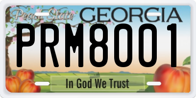 GA license plate PRM8001