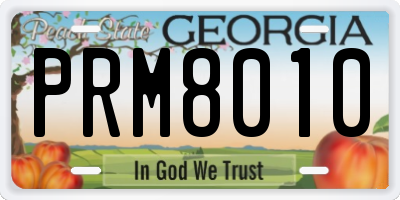 GA license plate PRM8010