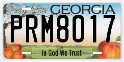 GA license plate PRM8017