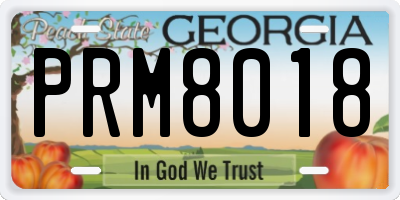 GA license plate PRM8018
