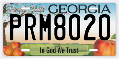GA license plate PRM8020