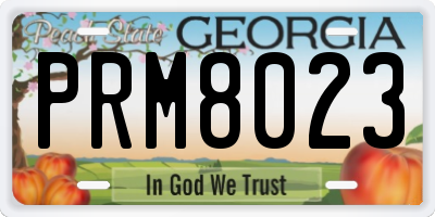GA license plate PRM8023