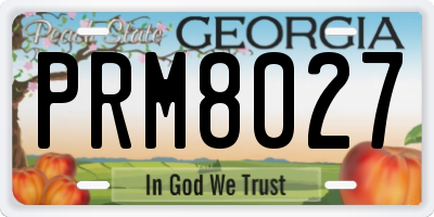 GA license plate PRM8027