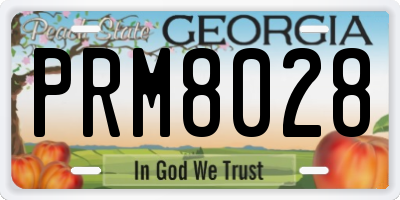 GA license plate PRM8028