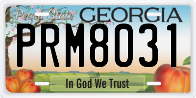 GA license plate PRM8031