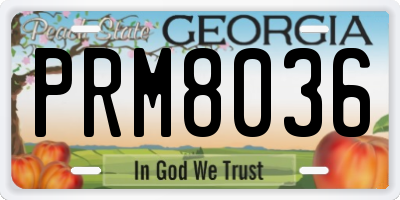 GA license plate PRM8036