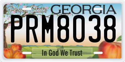 GA license plate PRM8038