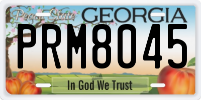 GA license plate PRM8045