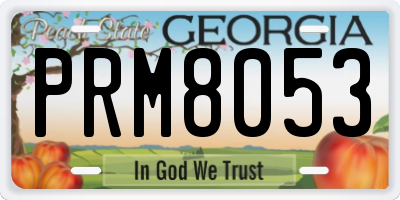 GA license plate PRM8053