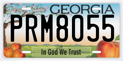 GA license plate PRM8055