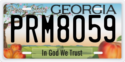 GA license plate PRM8059