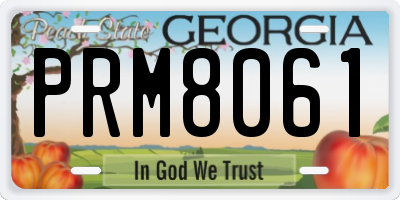 GA license plate PRM8061