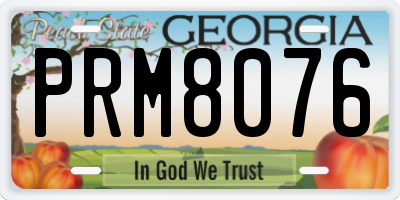 GA license plate PRM8076