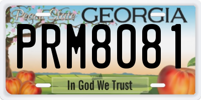 GA license plate PRM8081