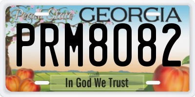 GA license plate PRM8082