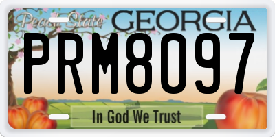 GA license plate PRM8097