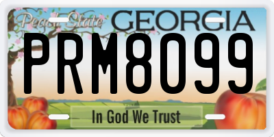 GA license plate PRM8099