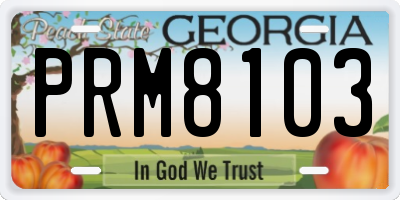 GA license plate PRM8103