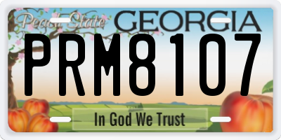 GA license plate PRM8107