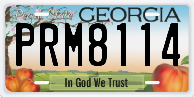 GA license plate PRM8114