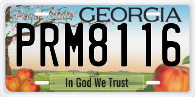 GA license plate PRM8116
