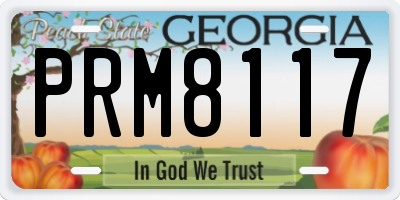 GA license plate PRM8117
