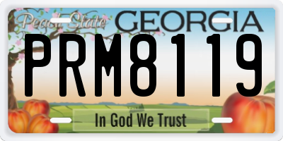 GA license plate PRM8119