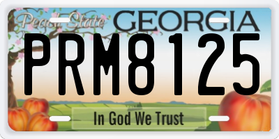 GA license plate PRM8125
