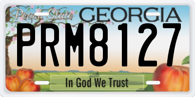 GA license plate PRM8127