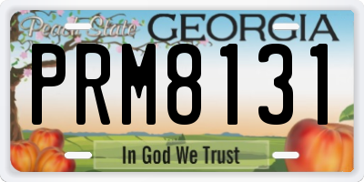 GA license plate PRM8131