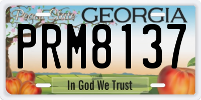 GA license plate PRM8137