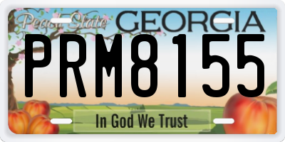 GA license plate PRM8155