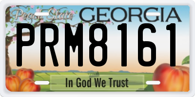 GA license plate PRM8161