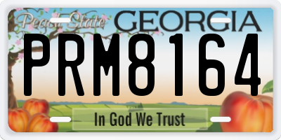 GA license plate PRM8164