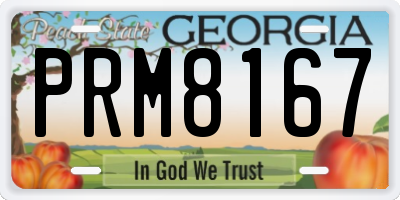GA license plate PRM8167