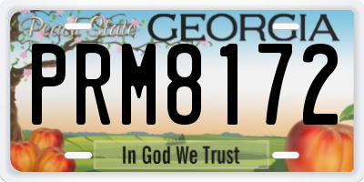 GA license plate PRM8172