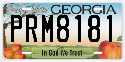 GA license plate PRM8181