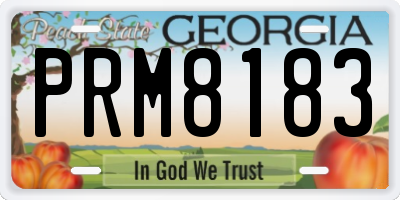 GA license plate PRM8183