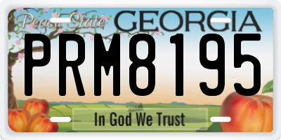 GA license plate PRM8195
