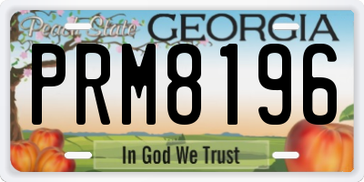GA license plate PRM8196
