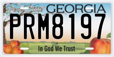 GA license plate PRM8197