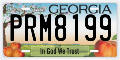 GA license plate PRM8199