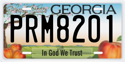 GA license plate PRM8201