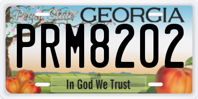 GA license plate PRM8202